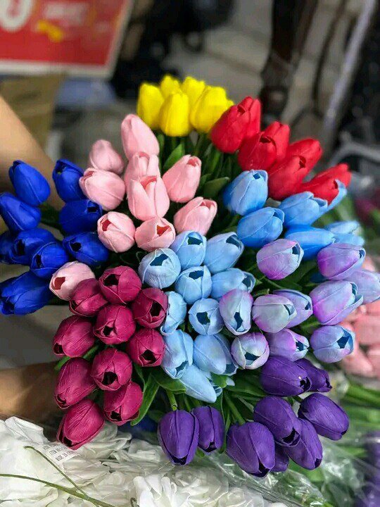 photo 2025 11 25 10 09 13