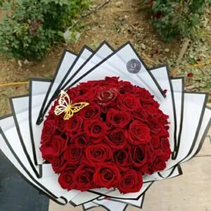 photo 2025 11 24 12 58 04